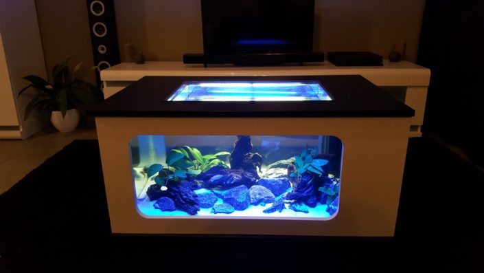 Table aquarium